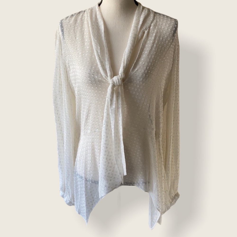 BCBG Max Azria Sheer Tie Flowy Blouse